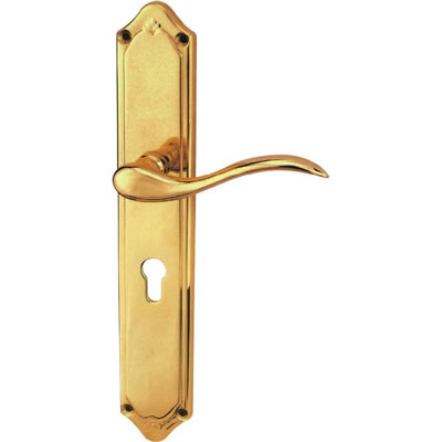 Brass Handle with Plate